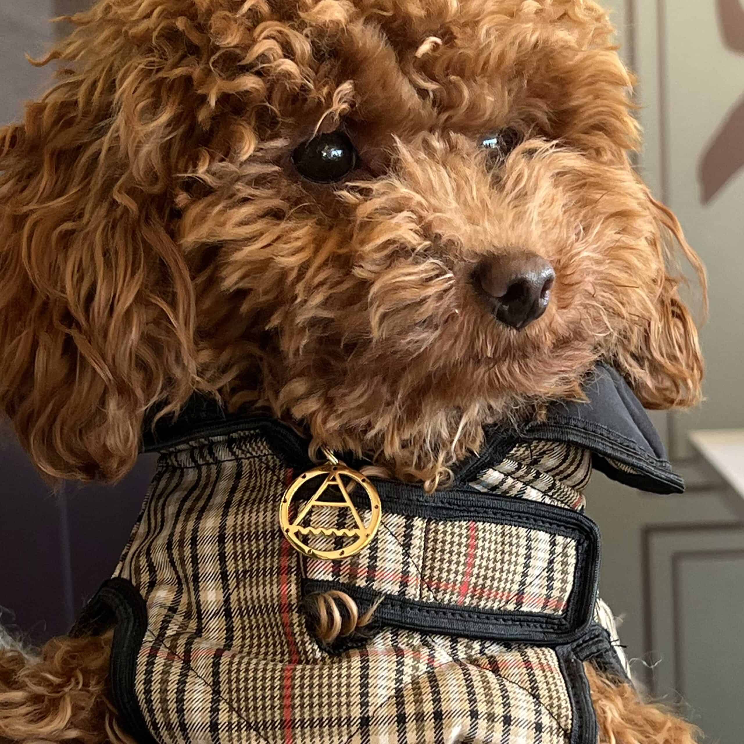 Ciondolo Pets&Baby 3/6/9 da 24mm