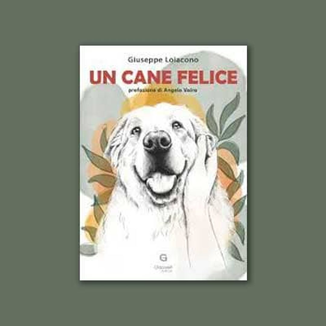 Un-cane-felice
